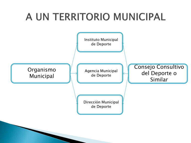 Organigrama interno - Confederación Argentina de Deportes
