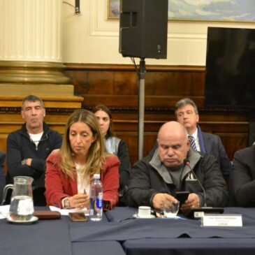 La Comisión de Deportes de la Cámara de Diputados de la Nacion debatió el futuro del deporte argentino junto a la CAD, el COA, el COPAR y representantes de atletas