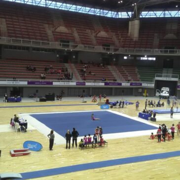 Más de 2.700 gimnastas pisan Mendoza en el certamen nacional más importante